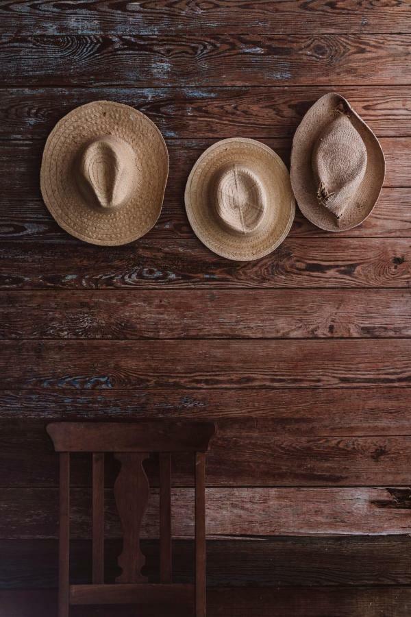 Coqui Coqui Casa De Los Santos Izamal - The Only One Suite Collection Ngoại thất bức ảnh
